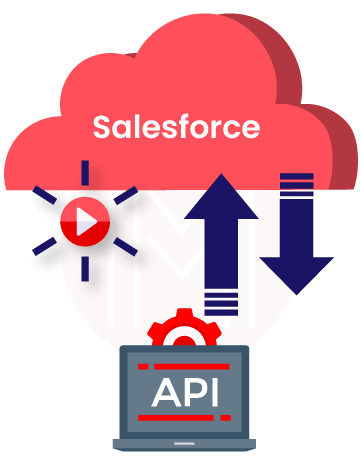 Salesforce API