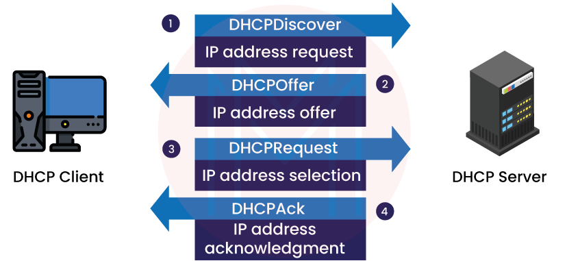How does DHCP work?