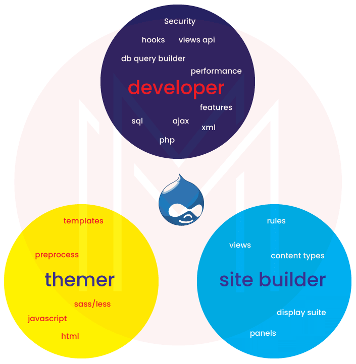 Task of a Drupal developer