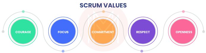 Scrum Values 