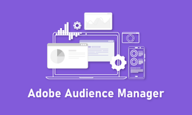 Adobe Audience Manager Training || "Reco slider img"