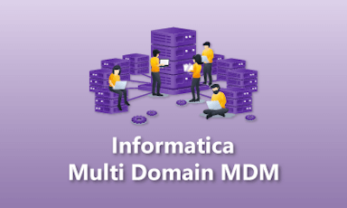 Informatica Multi Domain MDM Training || "Reco slider img"