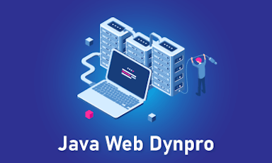 Java Web Dynpro Training || "Reco slider img"