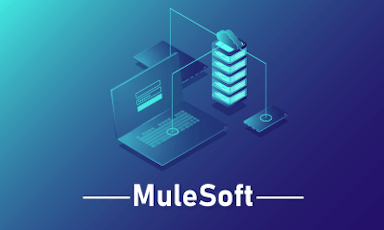 MuleSoft Training || "Reco slider img"