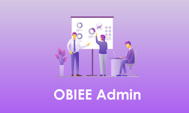 OBIEE Administration Training || "Reco slider img"