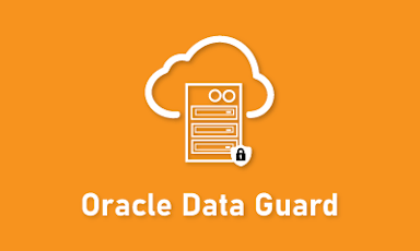 Oracle Data Guard Training || "Reco slider img"