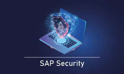 SAP Security Training in Hyderabad
