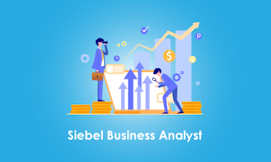SIEBEL Business Analyst Training || "Reco slider img"